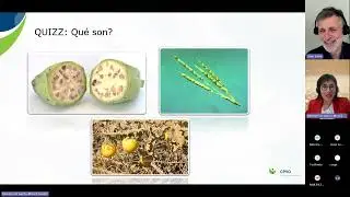 Webinar: Introducci&oacute;n al sistema europeo de protecci&oacute;n de variedad vegetales
