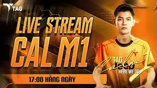 CALM1 - TRYHARD CHO GIẢI ĐẤU NGÀY MAI !!!