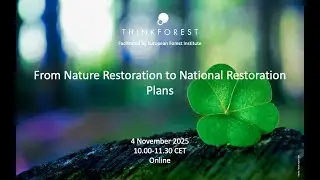 ThinkForest Webinar - From Nature Restoration to National Restoration Plans