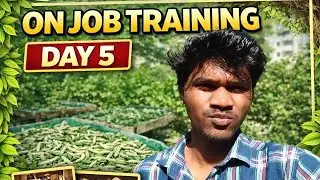 On job training Day 5 😎| sericulture |ASHISH vlogs