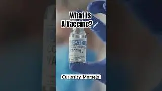 What Is a Vaccine?💉#whatis #sciencefacts #vaccine