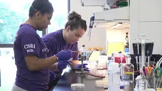 Cornell Summer Research Institute: Biochemistry and Molecular Biology