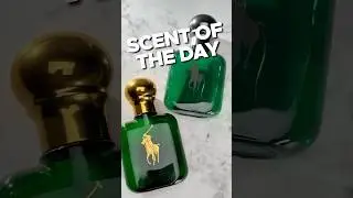 Scent of the Day :: Layering Polo and Polo Cologne Intense by Ralph Lauren