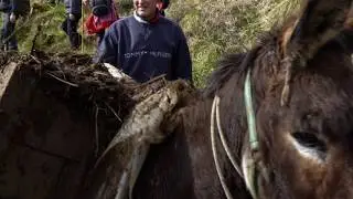 Valle del Miera con El Sindi&uacute;