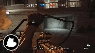 Death lies ahead the shield w/Blackbeard - Tom Clancy's Rainbow Six Siege