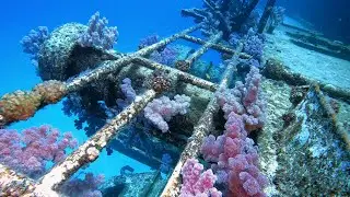 Scuba Diving In Mauritius with the MUG: KT Mawar 24/12/22