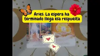 Aries La espera ha terminado llega esa respuesta 
