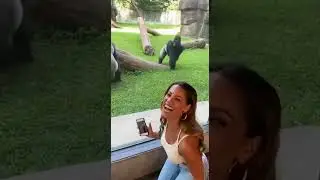 Subscribe for more crazy videos 🤪 #lol #animals #crazily #crazily #funnyanimals #comedy #funny