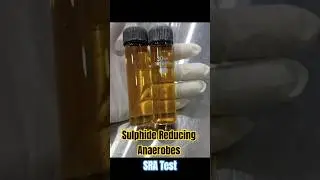 #SRA #Sulphite Reducing Anaerobes #like #Water Testing #MicrobiologyLab #LabPractical #Biotechnology