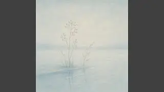 Frozen Sea