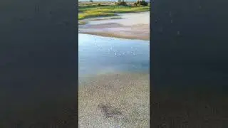 🤔 DJI Mini 2 czy Mini 2 SE - co wybrać w 2023 roku?