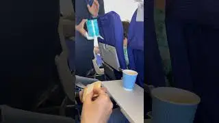 Indigo flight ki 200 ki tea with cookies