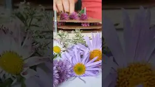 Product promotion video for a client