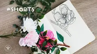#shorts flower drawing painting time lapse