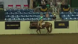 170815 NSBA 400 Maturity Non Pro Western Pleasure
