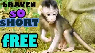 mg! BLACKI JUST RELEASING BABY BRAVEN VERY SHORT TIME, THEN GET BACK FAST,NO FREE TO PLAY