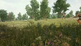 In Search of 4X