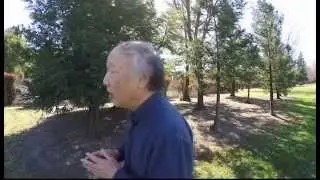Profile of RAISE Network Partner AANCART (short version)