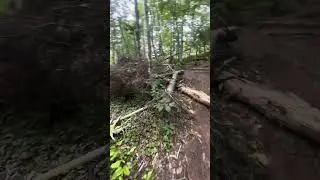 Gillis Lake falls