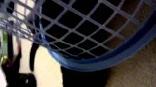 High Tech Cat Trap