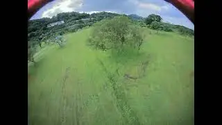隨便飛20240609
