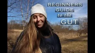 BEGINNERS GUIDE TO THE GUT