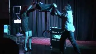 Corporate Mega Magic Show- RME