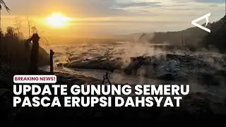 Update Gunung Semeru Terkini Pasca Erupsi 20 November 2025