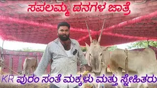 ಸಪಲಮ್ಮ ದನಗಳ ಜಾತ್ರೆ/KR ಪುರಂ ಸಂತೆ ಮಕ್ಕಳು ಮತ್ತು ಅವರ ಸ್ನೇಹಿತರ ಹೋರಿಗಳು