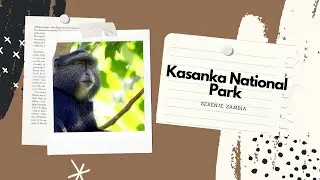 Kasanka National Park in Serenje, Zambia