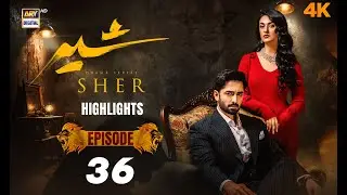 Sher Episode 36 | Highlights | Danish Taimoor | Sarah Khan | ARY Digital Drama