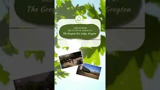 Experience Tranquility: 2024 Omni Wellness Retreat with Olive Tree Reality at Greyton Eco Lodge