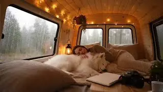 Rain on Car Window at Night &ndash; 10 Hour ASMR Sleep Ambience for Deep Relaxation