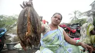 DRY FISH MARKET|How to prepare Salted Fish|How To Make Dry Fish At Home |