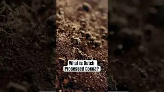 What is Dutch Processed or Alkalized Cocoa?