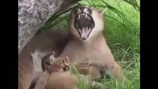 Hecker and his son (emotional)