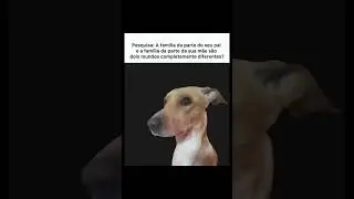 pesquisa #pets #modapet #comedia #memes #petsfofinhos #cachorro #cachorrosdivertidos #humor