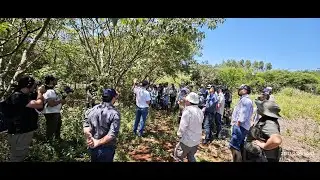 Building Resilient Future Forest Landscapes in Paraguay