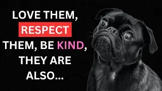 Dog's Love | Animal Love | Dog's Quotes | Love them, Be Kind | Wisdom Quotes | #quotes | #doglover