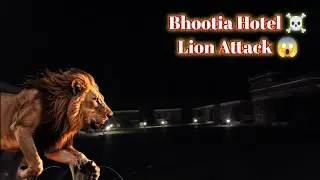 Lion Attack in Bhootia Hotel - Bikaner || PAGAL LOG