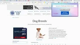 Google Indexed Pages checker