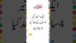 Riddle of the day | سوالات اردو | urdu brain quiz | daily gk questions and answers | daily paheli