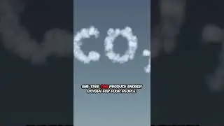 How Trees Help Our Planet @youtube shorts @study @trees @save trees save plants @fun facts @shorts
