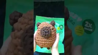 EXTRA SQUEEZY HUGH THE CAPYBARA CROCHET KIT FROM @TheWoobles