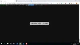 Docker - Containers - Port Forwarding