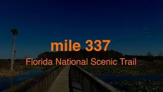 Florida National Scenic Trail: mi 337 - 349.7