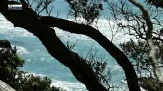 Hazard Assessment | Rick's Tree Service PA & DE
