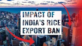 Impact of India's rice export ban. Will this ban deepen a global food crisis?