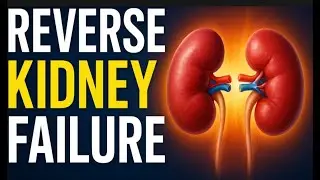YOUR KIDNEYS FILTER 190 LITRES OF BLOOD DAILY &mdash; IGNORE THIS AND FACE KIDNEY FAILURE
