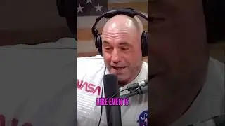Shocking Revelations  High Profile Witness Attempts Suicide in Government Pedophile Case